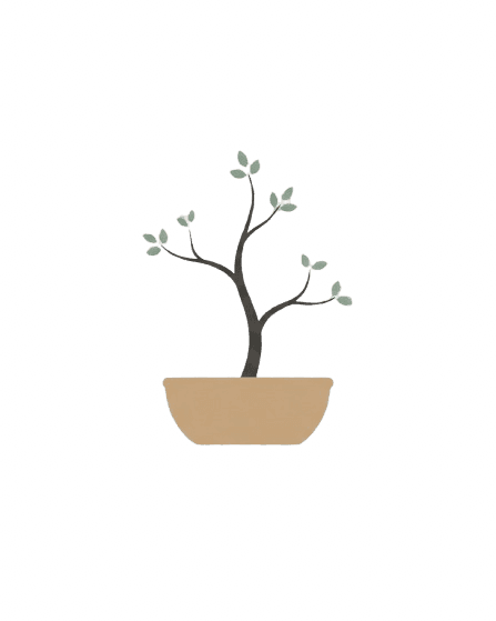 Bonsai — Clarity stage